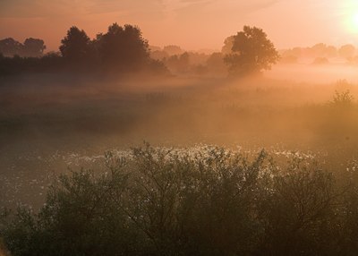 BUITEN BEELD Foto: 71597