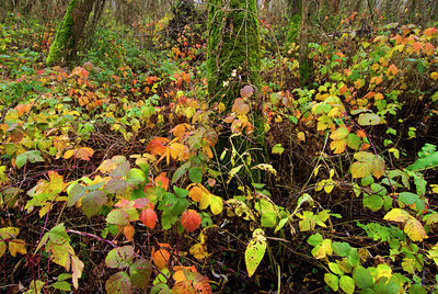 BUITEN BEELD Foto: 71654