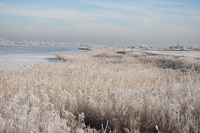 BUITEN BEELD Foto: 71661