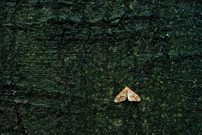 BUITEN BEELD Foto: 71673