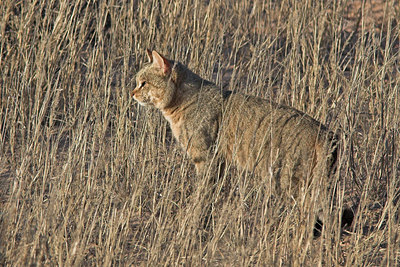 BUITEN BEELD Foto: 71803