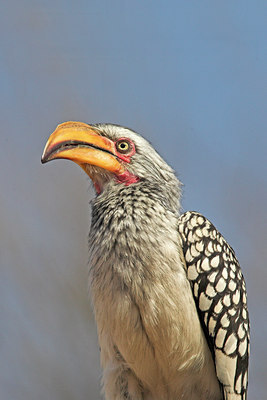 BUITEN BEELD Foto: 71822
