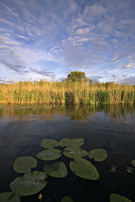 BUITEN BEELD Foto: 71875