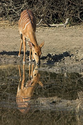 BUITEN BEELD Foto: 71926