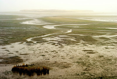 BUITEN BEELD Foto: 71996