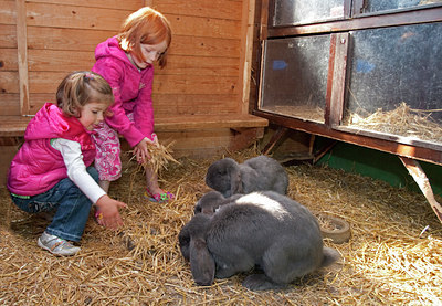 BUITEN BEELD Foto: 72009