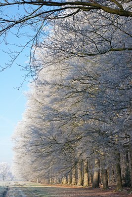 BUITEN BEELD Foto: 72012