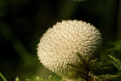 BUITEN BEELD Foto: 72020