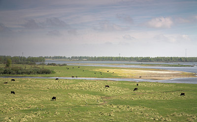 BUITEN BEELD Foto: 72045