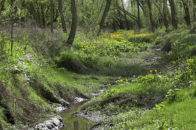 BUITEN BEELD Foto: 72047