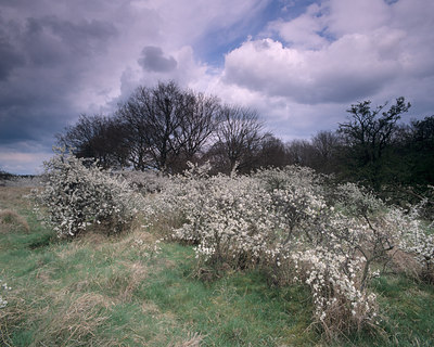 BUITEN BEELD Foto: 72054
