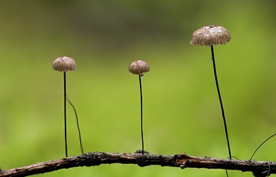 BUITEN BEELD Foto: 72098