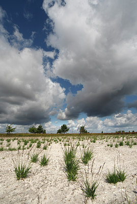 BUITEN BEELD Foto: 72154