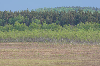BUITEN BEELD Foto: 72158