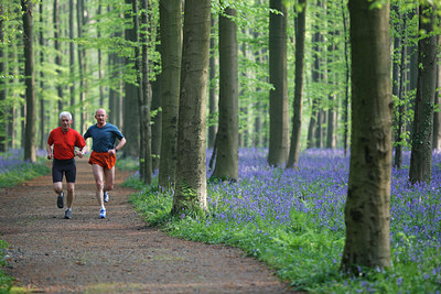 BUITEN BEELD Foto: 72161