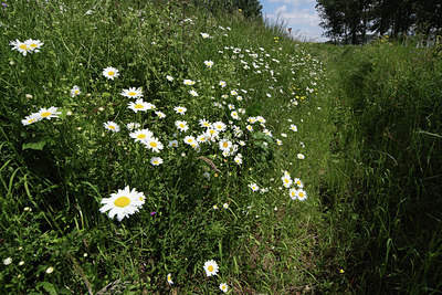BUITEN BEELD Foto: 72177
