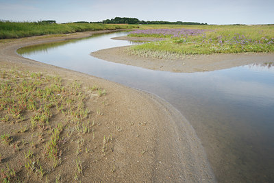 BUITEN BEELD Foto: 72227