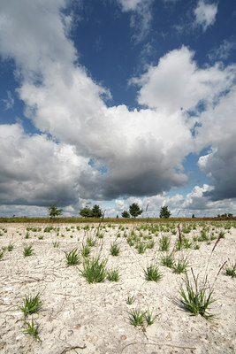 BUITEN BEELD Foto: 72228