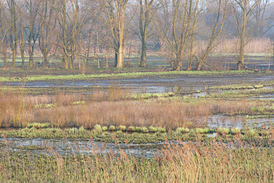 BUITEN BEELD Foto: 72232