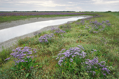 BUITEN BEELD Foto: 72256