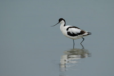 BUITEN BEELD Foto: 72330