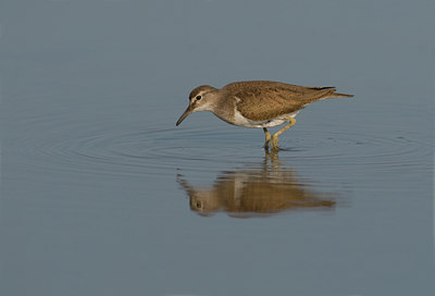 BUITEN BEELD Foto: 72337