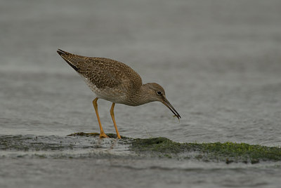 BUITEN BEELD Foto: 72350