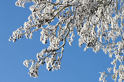 BUITEN BEELD Foto: 72360