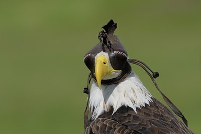 BUITEN BEELD Foto: 72476