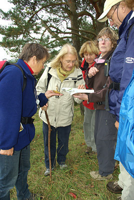 BUITEN BEELD Foto: 72488