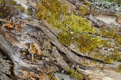 BUITEN BEELD Foto: 72508