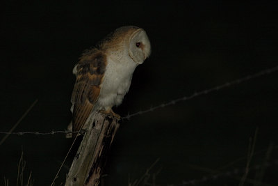 BUITEN BEELD Foto: 72654