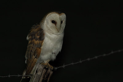 BUITEN BEELD Foto: 72655