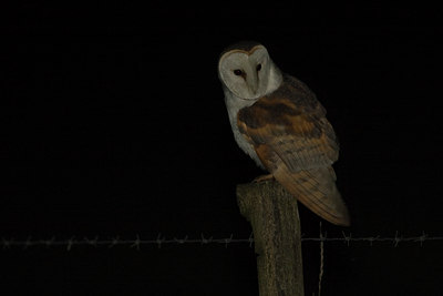 BUITEN BEELD Foto: 72657
