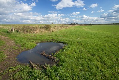 BUITEN BEELD Foto: 72686