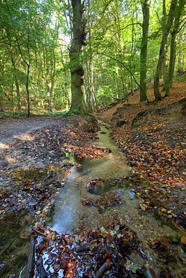 BUITEN BEELD Foto: 72690