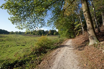 BUITEN BEELD Foto: 72704