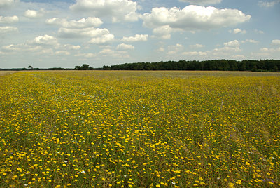 BUITEN BEELD Foto: 72716