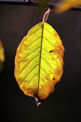 BUITEN BEELD Foto: 72725
