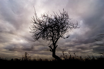 BUITEN BEELD Foto: 72752
