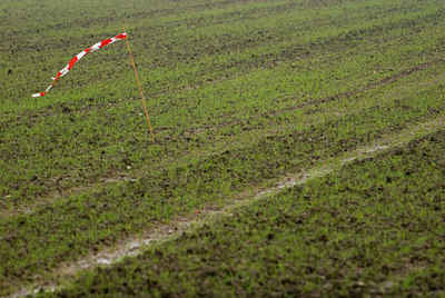 BUITEN BEELD Foto: 72761
