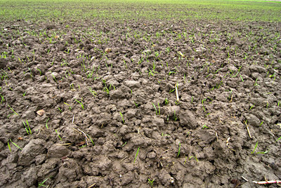 BUITEN BEELD Foto: 72762
