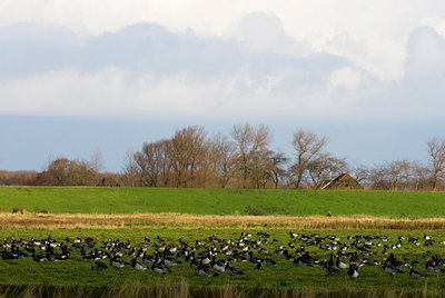 BUITEN BEELD Foto: 72763