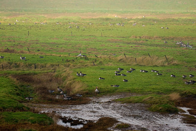 BUITEN BEELD Foto: 72764