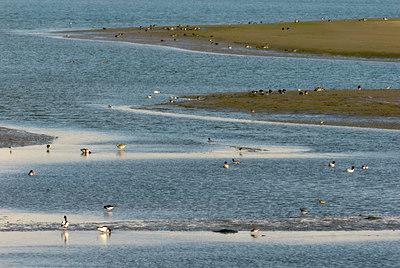 BUITEN BEELD Foto: 72766