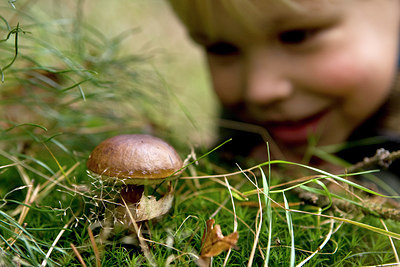 BUITEN BEELD Foto: 72799