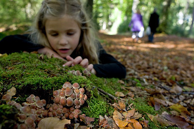 BUITEN BEELD Foto: 72802