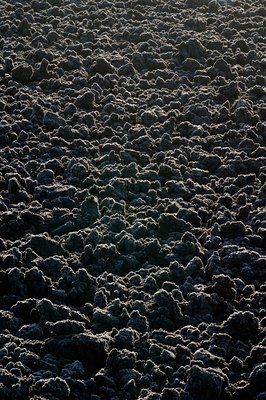 BUITEN BEELD Foto: 72818