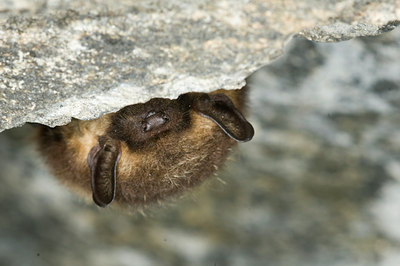 BUITEN BEELD Foto: 72885