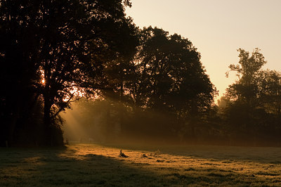 BUITEN BEELD Foto: 72893